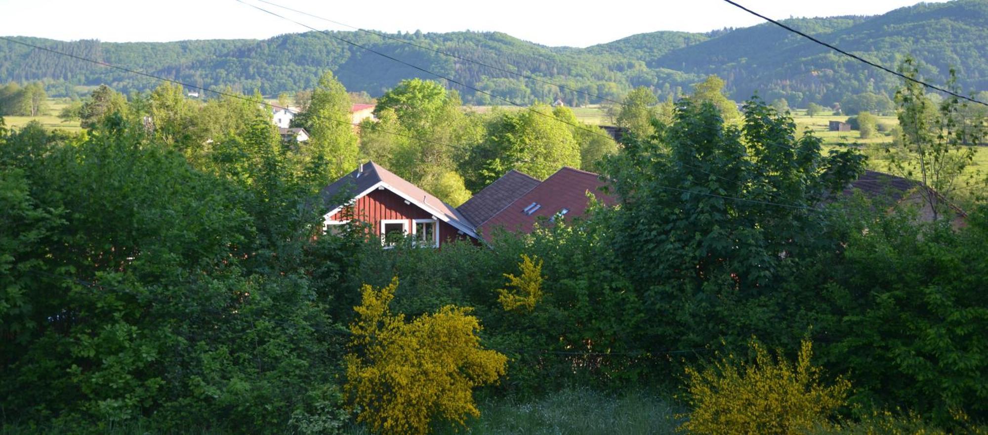 Chalet Des Aigrettes, Les 1000 Etangs La Voivre  Dış mekan fotoğraf